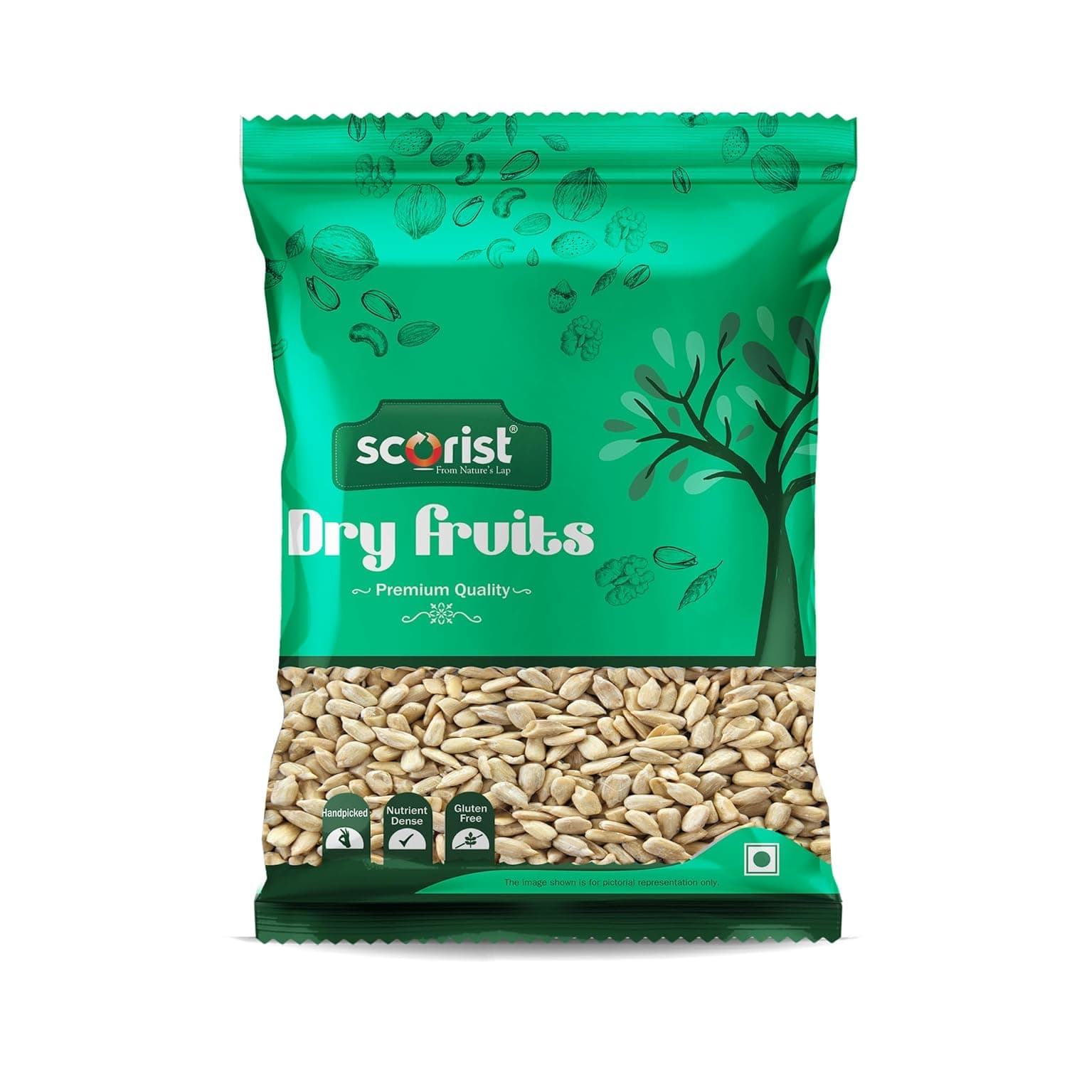 Scorist Premium Sunflower Seeds 500g I Sunflower Seeds for Eating | Diet Food | Healthy Snack | Raw seeds | Weight management | Source of Antioxidants